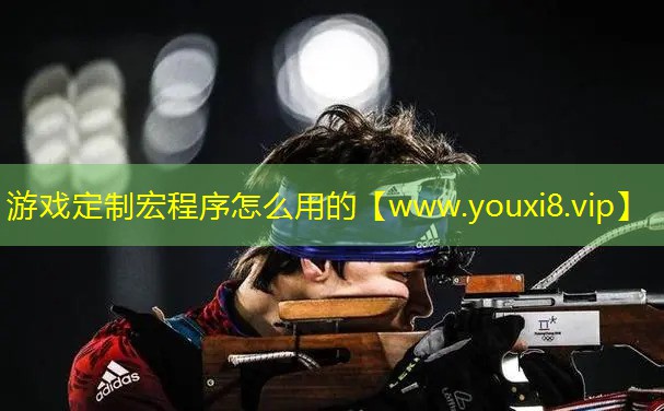 游戏定制宏程序怎么用的