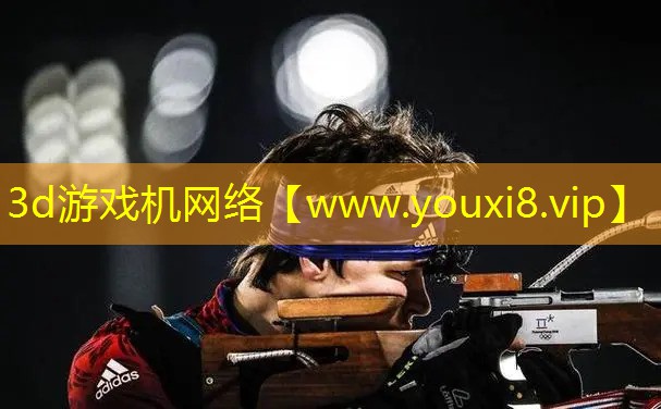 3d游戏机网络