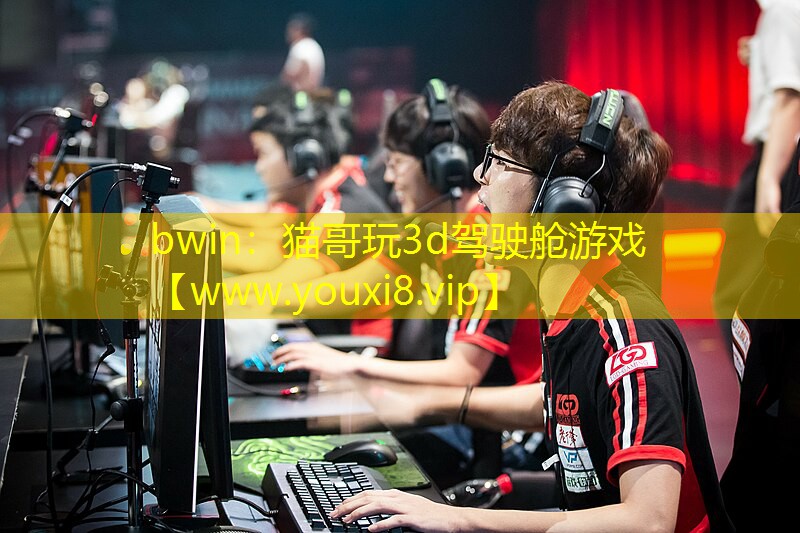 bwin：猫哥玩3d驾驶舱游戏