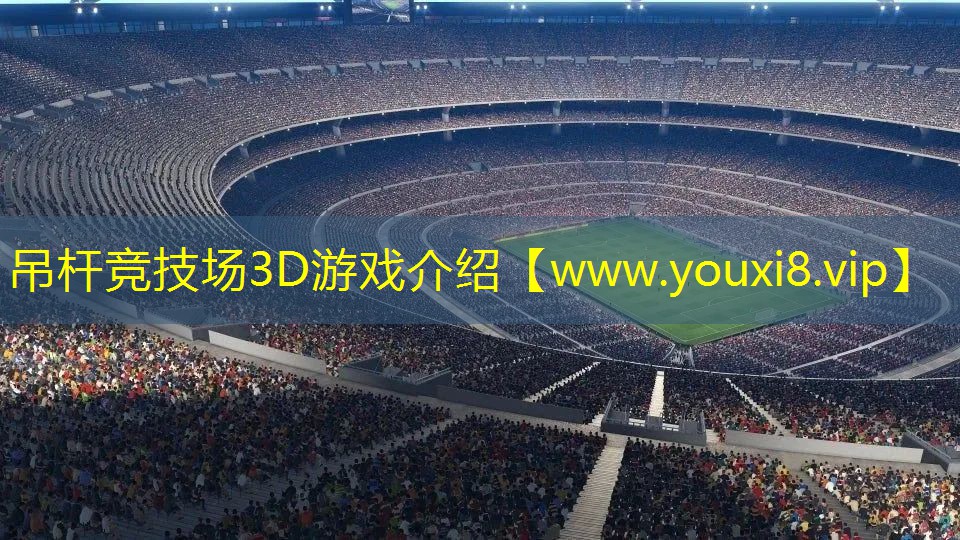 吊杆竞技场3D游戏介绍