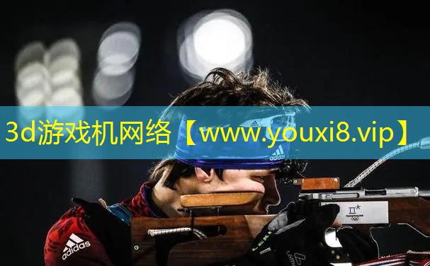 3d游戏机网络