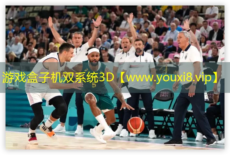 游戏盒子机双系统3D